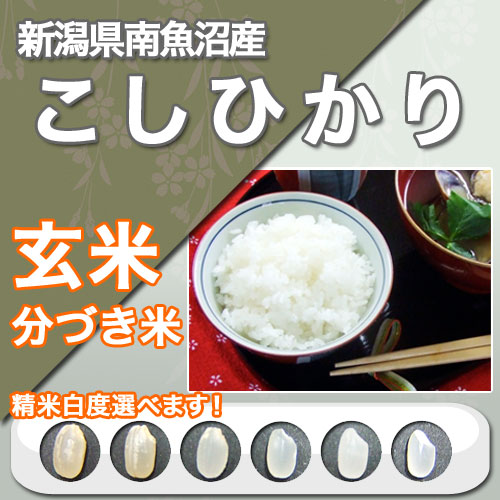 23年 新潟県魚沼産 こしひかり 1kg（玄米重量）