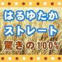 北海道産小麦粉　はるゆたかストレート100%(強力粉)　2.5kg ハルユタカ小麦幻の小麦粉「はるゆたか」をなんと100%使用!ついに出ました☆数量限定で、なくなり次第終了です。