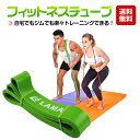 トレーニングチューブ おすすめ エクササイズチューブ トレーニング フィットネスチュ