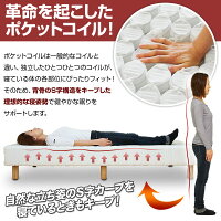 ダブルベッド/ベッド/ダブル/ポケットコイル/マットレス付き
