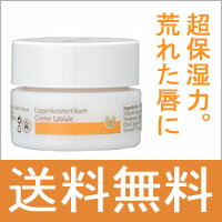 ドクターハウシュカ　リップクリーム4.5ml　[Dr.ハウシュカ　リップクリーム]【送料無料】