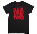 Rod Stewart Tシャツ 着用モデル