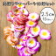 <メール便>10個セット★お花モチーフ★造花フラワーパーツウレタンフラワースパグッズインテリアデコレーションアクセサリーパーツお花ヘアピンピアスパーツ手芸用品店バスグッズフローティングフラワーフロートフラワーアレンジメントジュエリーパーツ
