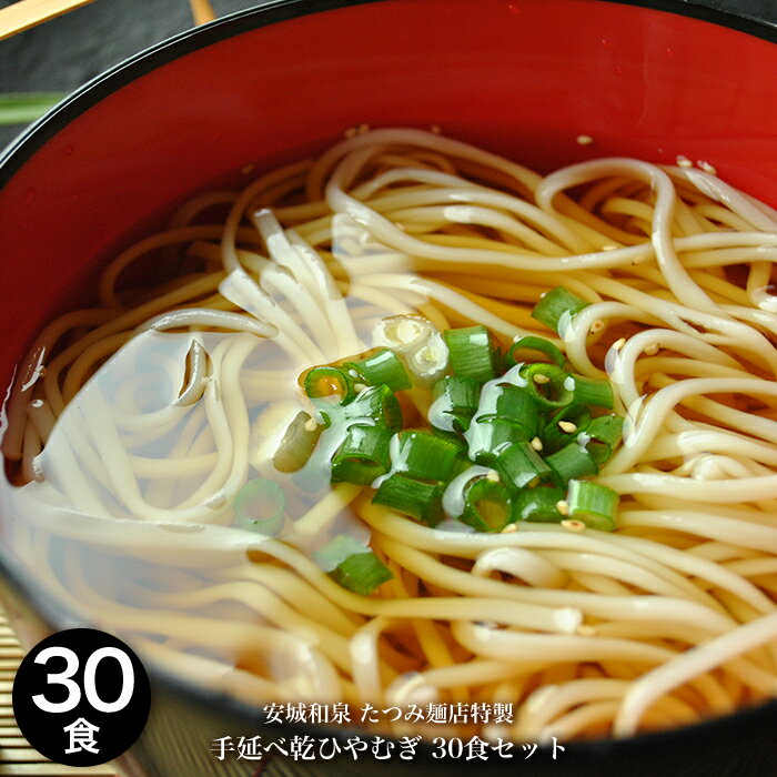 たつみ麺店　手延べ乾ひやむぎ2人前×15袋【常温保存】 【美味しい手延べひやむぎ】【のどご…...:mentatsu:10000294