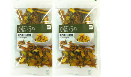 【山口県産100%使用】ドライ野菜(乾燥野菜)かぼちゃ 50g入り 2袋セット【国産野菜100%】