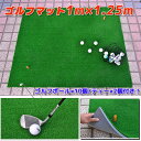 ゴルフ練習マット 【特大 1.25m×1m】ゴルフボール&ティー付 ショットマット