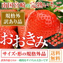 訳あり わけあり 送料無料 超特大 or 特大 380g以上 いちご イチゴ 苺 大粒 高級 超大きくて甘い おおきみ タルト ショートケーキ の材料にも フル... ランキングお取り寄せ