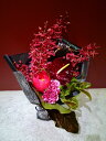 レナンセラ 芍薬 アンスリューム カーネーション チャンバーレイニアナム