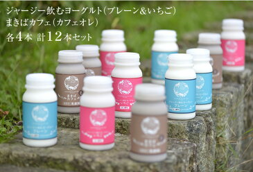 送料無料 ジャージードリンク(180ml) 12個詰め合わせ(飲むヨーグルト プレーン&いちご、カフェオレ) 保冷袋付き [ミルク 内祝い 出産内祝い 結婚内祝い 出産内祝い ギフト お礼 栃木県 お土産にも人気の詰め合わせ にもおすすめ