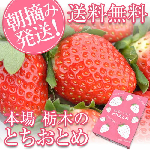 【イチゴ 送料無料】とちおとめ 苺 (約280g×4パック) ※4パック1箱 [ホワイトデー お返し ひな祭り(ひなまつり) いちご 卒業祝い 卒業内祝い 結婚... ランキングお取り寄せ