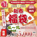 福袋 失禁パンツ 4枚入り 女性用 レディース 尿漏れパンツ 3L 4L 5L 6L 7L 送料無料 【ラッキーシール対応】【2019年1月7日以降発送】