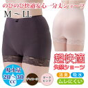 【あす楽対応可】 女性用 尿漏れパンツ 失禁ショーツ レディース 深め パンツ 【のび