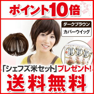 ヘアコサージュ カバーウィッグ ダークブラウン 10dw08