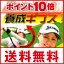 【即納・送料無料・ポイント10倍】飛ばし屋養成ギブスは賞金女王「横峯さくら」の秘密兵器!!ユニーク練習法の決定版の飛ばし屋養成ギブスで飛距離数段UP飛ばし屋養成ギブス S?M【ベルトサイズ60?85cm】 07dw10 10P12oct10【smtb-s】