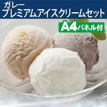 【あす楽】二次会　景品　ガレー　プレミアムアイスクリームセット　景品、忘年会、目録、セット、新年会、ビンゴ