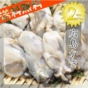 【送料無料】広島カキ（牡蠣）≪1kg×2袋≫ジャンボかき特大【2Lサイズ】【2sp_120810_green】