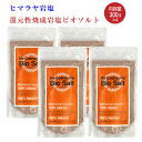 【送料無料】4個セット/リ・コエンザイム ビオソルト300g×4　Re Coenzyme bio salt