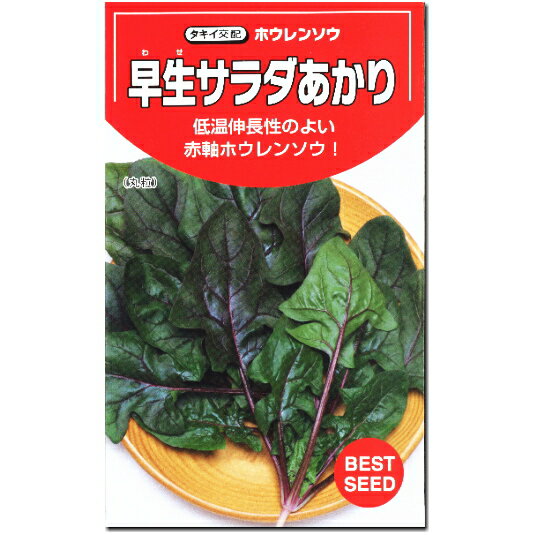 ホウレンソウ 種子 早生サラダあかり 10ml ほうれん草