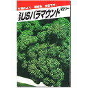 パセリ 種子 USパラマウント 5ml...
