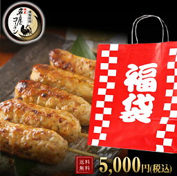 内祝い お返し ギフト【純系 名古屋コーチン 福袋】お肉ギフト ハンバーグ 親子丼の素 正肉串 つくね串 ソーセージ お取り寄せ 高級 地鶏 ギフト プレゼント 詰め合わせ お正月