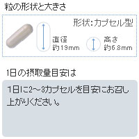 『【送料無料】中山式ローヤルゼリー・1000』　　≪王乳,健康食品,健食,サプリメント,食欲増進≫　　【10P03Sep16】【RCP】