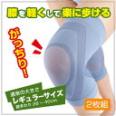 【送料無料】膝楽いきいきサポーター(レギュラーサイズ) ※2枚組【ひざ/固定帯/がっちり/膝痛/ひざ関節/メッシュ/通気性】 【10P03Dec16】【RCP】