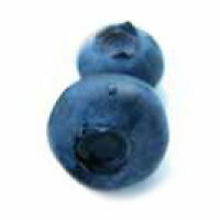 南米チリ産ブルーベリー（冷凍）500g ランキングお取り寄せ