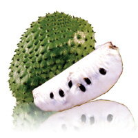 ご家庭で簡単にヘルシーなトロピカルジュース♪グアナバナピューレ(Pulpa de Guanabana) 900g（90g×10袋）