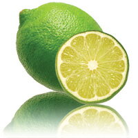 ご家庭で簡単にヘルシーなトロピカルジュース♪ブラジル産ライムピューレ(Pulpa de Lime) 1000g（100g×10袋）