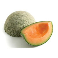 ご家庭で簡単にヘルシーなトロピカルジュース♪ブラジル産メロンピューレ(Pulpa de Melon) 1000g（100g×10袋）