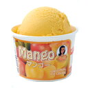 ǥե롼Ĥȥԥʥޥ󥴡꡼(Mango Ice Cream)