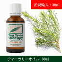 ティーツリーオイル 30ml (スクリューキャップ式)正規輸入品 天然100%精油(Tea Tree)ティートゥリー・アロマオイル(T3)(クーポン利用可)