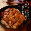 敬老の日 ギフト 敬老会 記念品 【朝じめ活鰻】 特大蒲焼き...