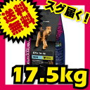 ユーカヌバ 1歳〜4歳用 健康維持用 (メンテナンス) 大型犬種 大粒 17.5kg ブリーダーパック Eukanuba 【犬用/ドッグフード/ドライフード/大型犬/成犬】 【送料無料/あす楽】