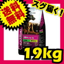 ユーカヌバ 1歳〜6歳用 活発犬用 (オリジナル) 中・大型犬種 中粒 19kg ブリーダーパック Eukanuba 【犬用/ドッグフード/ドライフード/中型犬/大型犬/成犬】 【送料無料/あす楽】