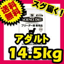サイエンスダイエット アダルト 成犬用 14.5kg ブリーダーパック SCIENCE DIET 【犬用/ドッグフード/ドライフード/小型犬/中型犬/大型犬/成犬/高齢犬】 【送料無料/あす楽】