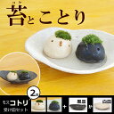 苔(コケ)がかわいい 真山茜さんのモスモスシリーズ【モスコトリ2匹(黒・グレー系と(白・ベージュ系)・受け皿セット】