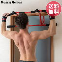 懸垂マシン トレーニング 筋トレ ダイエット ぶら下がり健康器 サポーター 腕立て MUSCLE GENIUS 俺のドアジム2 MG-DG02