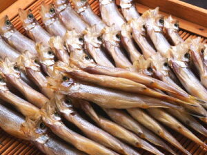 【冷凍】国産柳葉魚〈シシャモ〉【干物】1箱、30尾前後