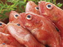 【鮮魚】キンキ1匹、200g~500g前後