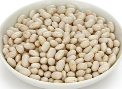 【乾物】手亡豆〈テボウマメ〉別称：白印元豆〈シロインゲンマメ〉1Kg...:oishiina:10001323