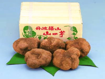 【兵庫丹波産直品】丹波篠山産山の芋『優品』、約1.5キロ