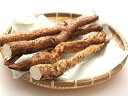 自然薯〈ジネンジョ〉1ケース、0.5Kg~2Kg前後、1~3本前後