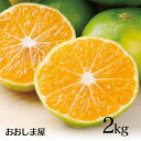 【予約7月中旬より出荷予定】フルーツ 果...