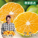 みかん 2.5kg 送料無料【10月上旬...
