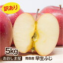 訳あり りんご 青森 早生 ふじ 5kg 大小混合 送料無料...