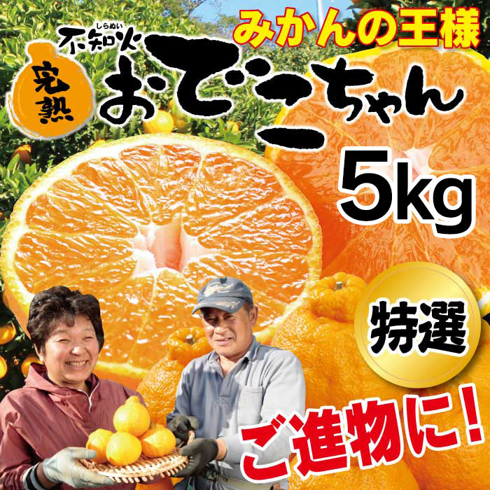 特選 不知火完熟おでこちゃん 5kg 厳選農家さんから産地直送 送料無料 ＜美味しいみかん おおしま屋＞