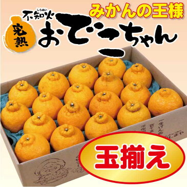 特選 不知火完熟おでこちゃん 5kg 厳選農家さんから産地直送 送料無料 <美味しいみかん おおしま屋>