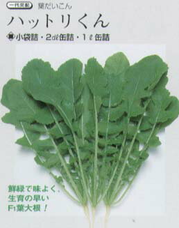 【葉ダイコン・二十日大根・かいわれダイコン】 タキイ交配 ハットリ君 [春まき野菜のタネ]