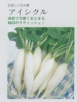 ե纬 Ƴ  [դޤڤΥ]